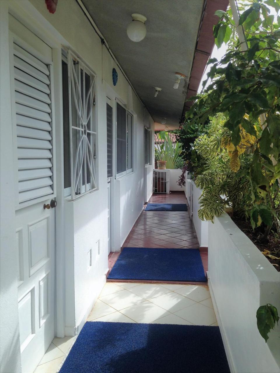 Casa Felicita B&B Y Apartamentosバヤイベ エクステリア 写真