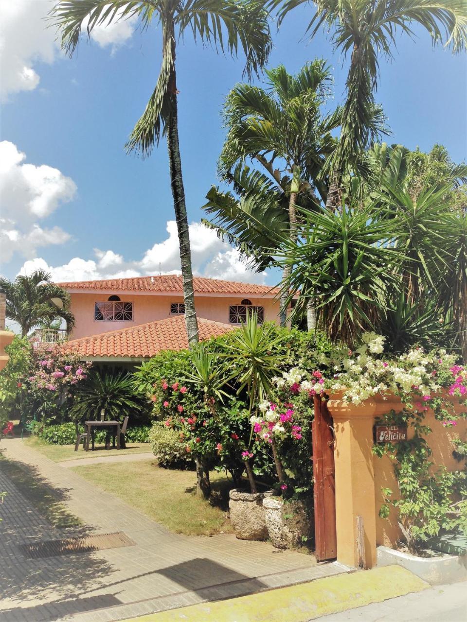 Casa Felicita B&B Y Apartamentosバヤイベ エクステリア 写真